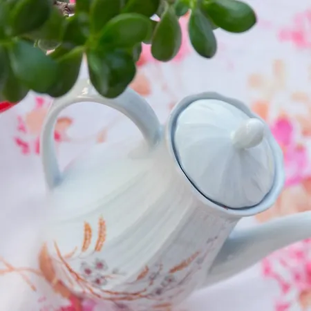 Summer بيت ضيافة