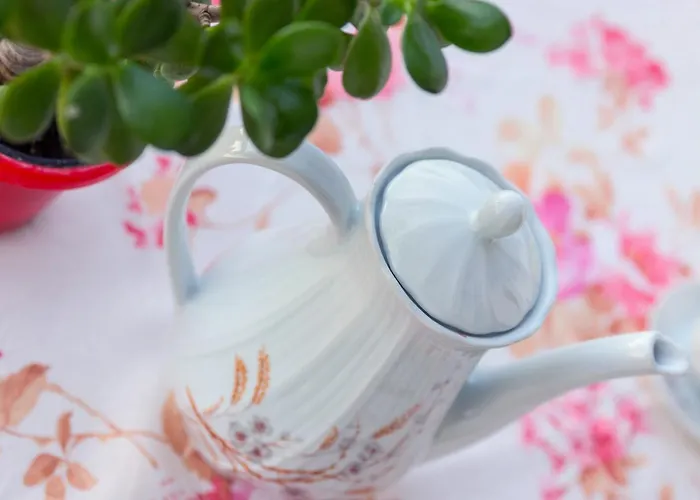 Summer بيت ضيافة